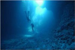 Sea Cavern, Blue Holes Palau, Micronesia. Nikon D-100 , 1... by Catherine Landa 